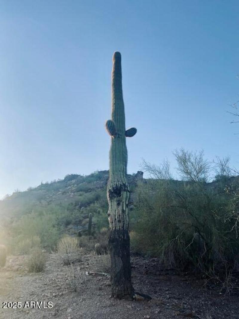 620 W. Tonto Photo 20