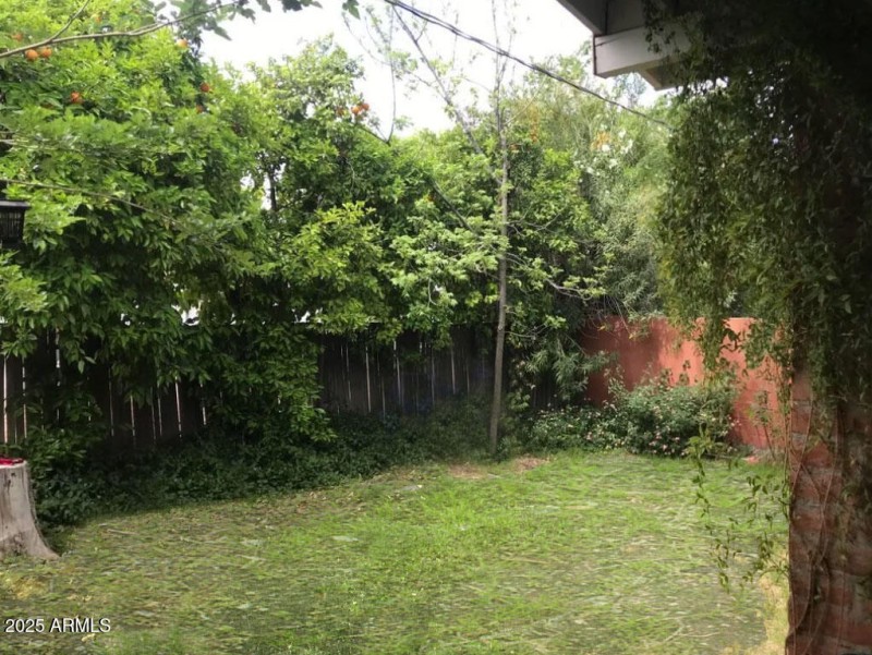 Duplex b backyard