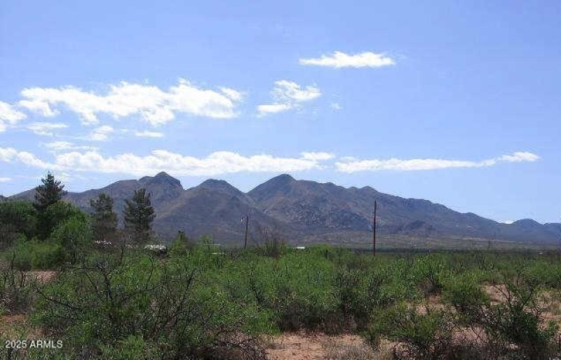 10683 N WIEGAND PRATT RD