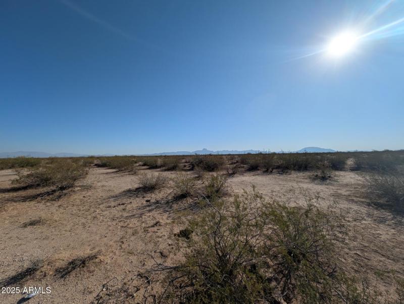 PXL_20250706_145744898