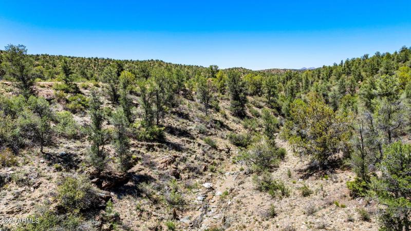 24-Lot Photo (5) (2)