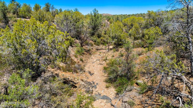 45-Lot Photo (3) (2)