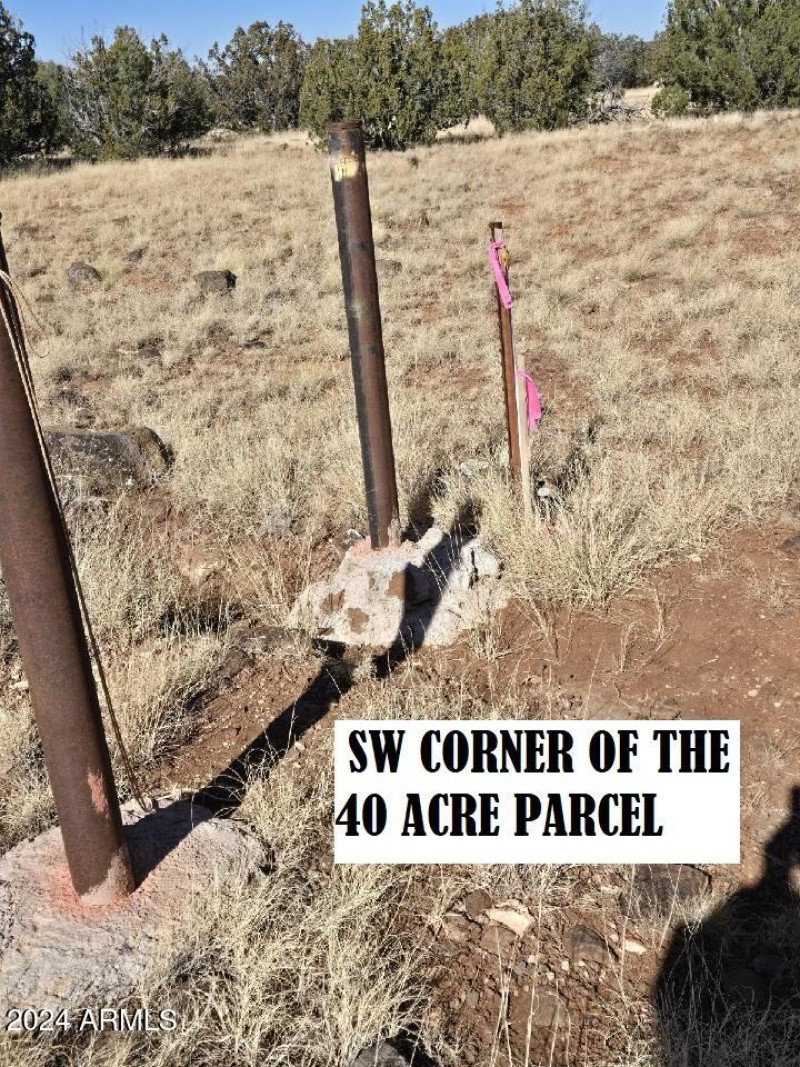 2A - SW corner of Parcel E