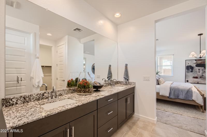 Owner's Bath