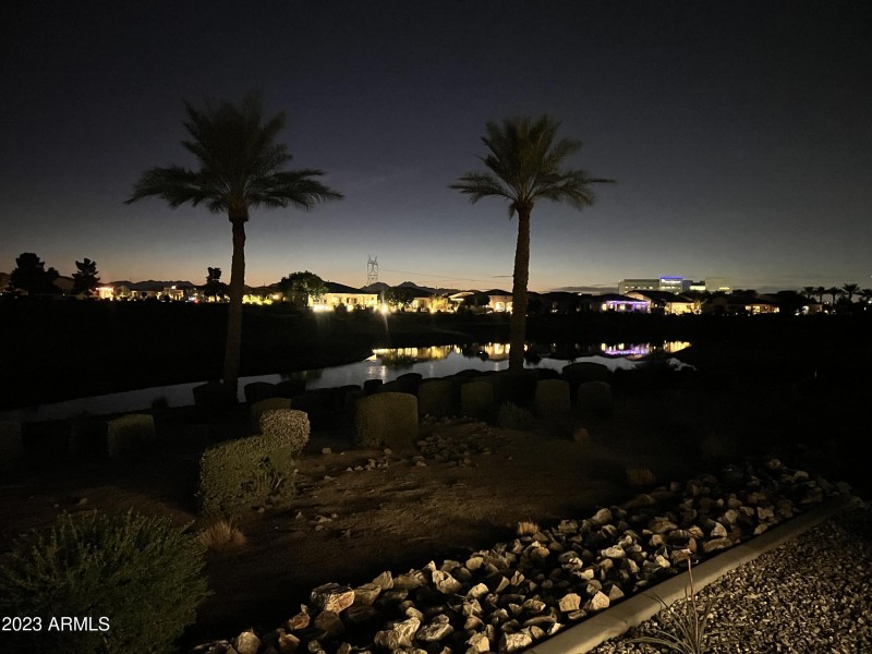 Backyard Night View