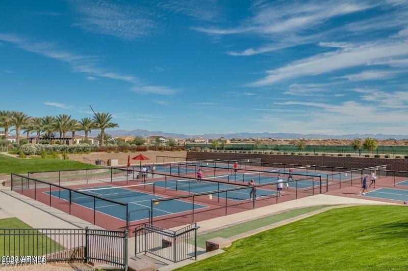 Pickle Ball 1