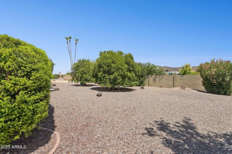 Backyard 4