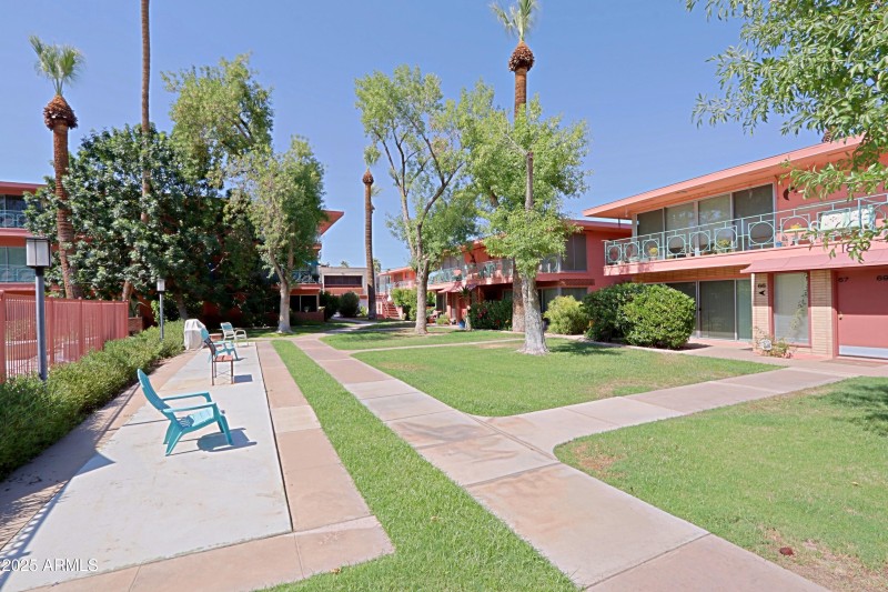 Community area