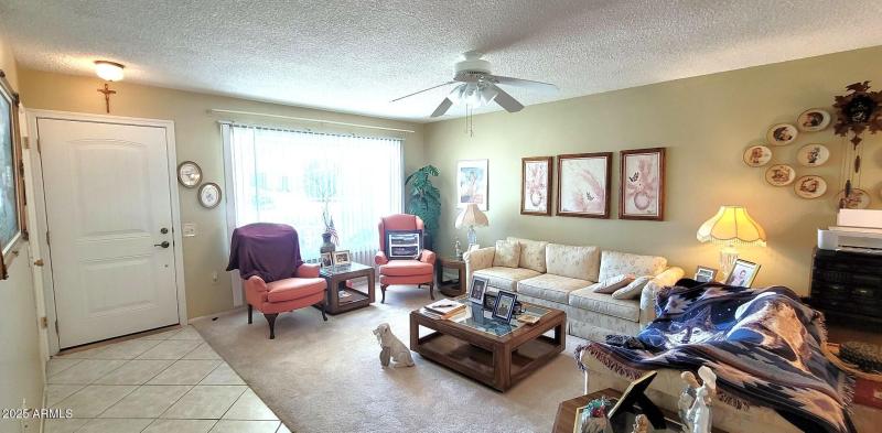 LIving room upgraded front door