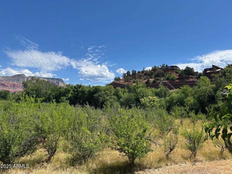 image1 (2)