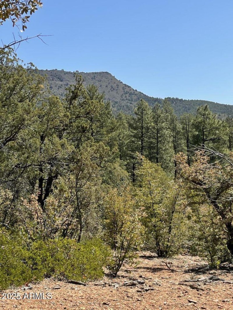 20211117213452206770000000-o