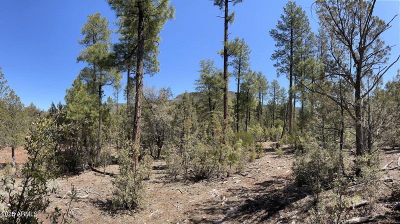 20211117213453444695000000-o