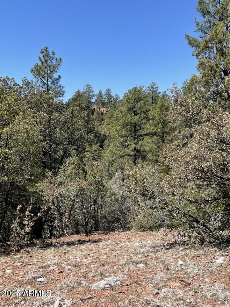 20211117213453323500000000-o