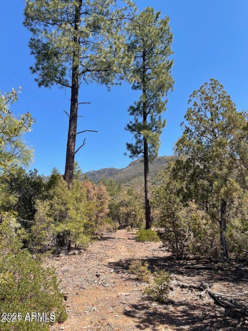 20211117213453262333000000-o