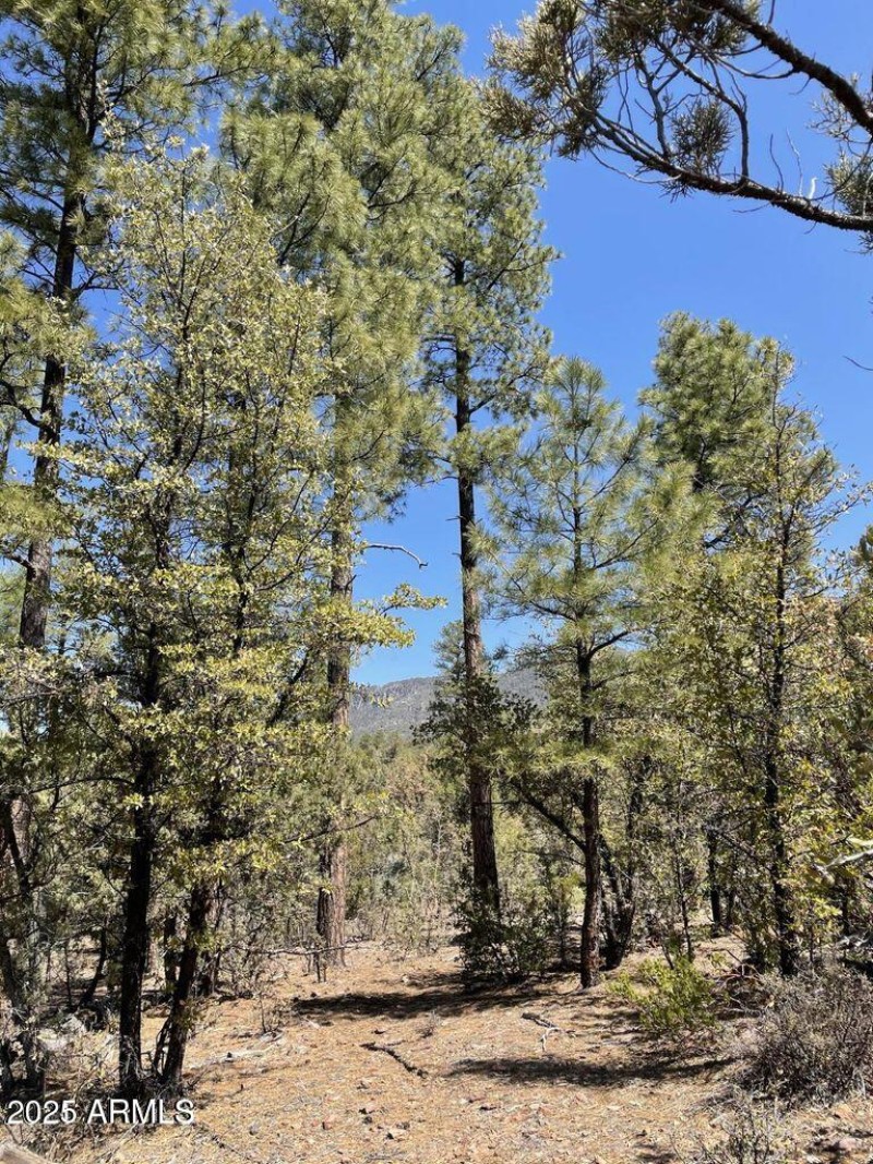 20211117213453124606000000-o