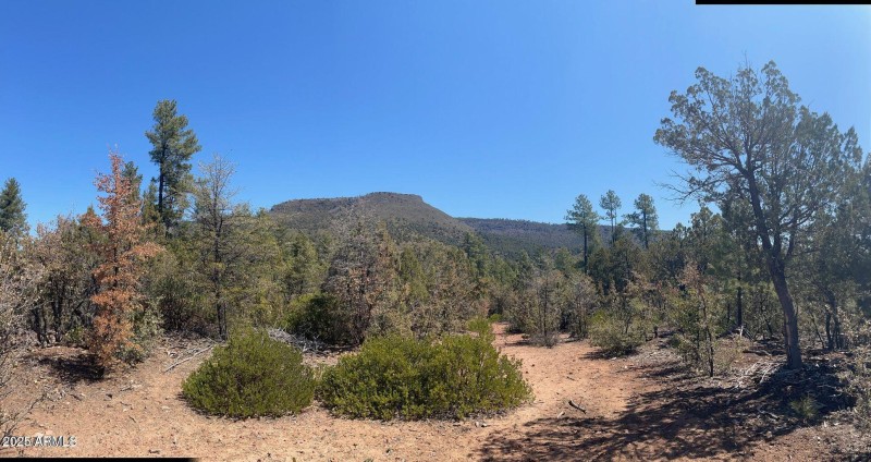 20211117213452988160000000-o