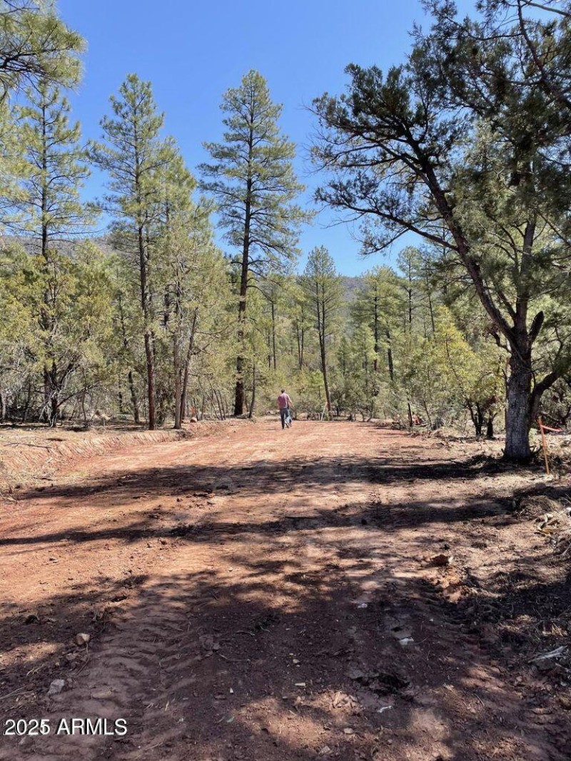 20211117213452852665000000-o