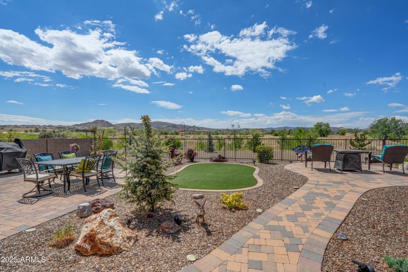 Back Yard 3