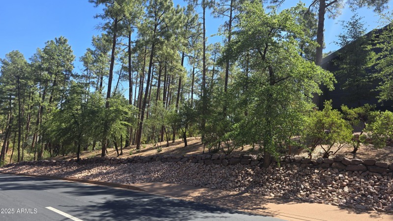 Chaparral Pines Lot