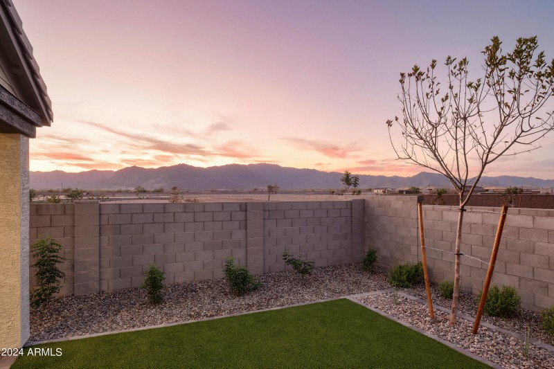 BACK YARD
