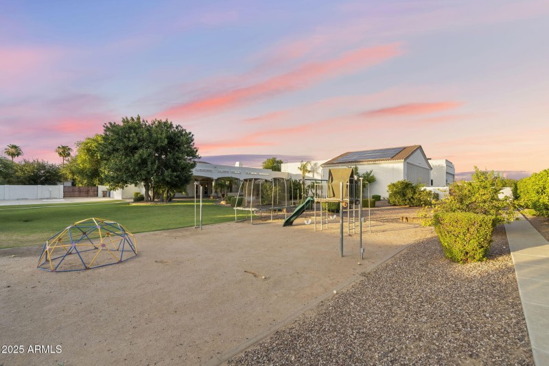 back yard
