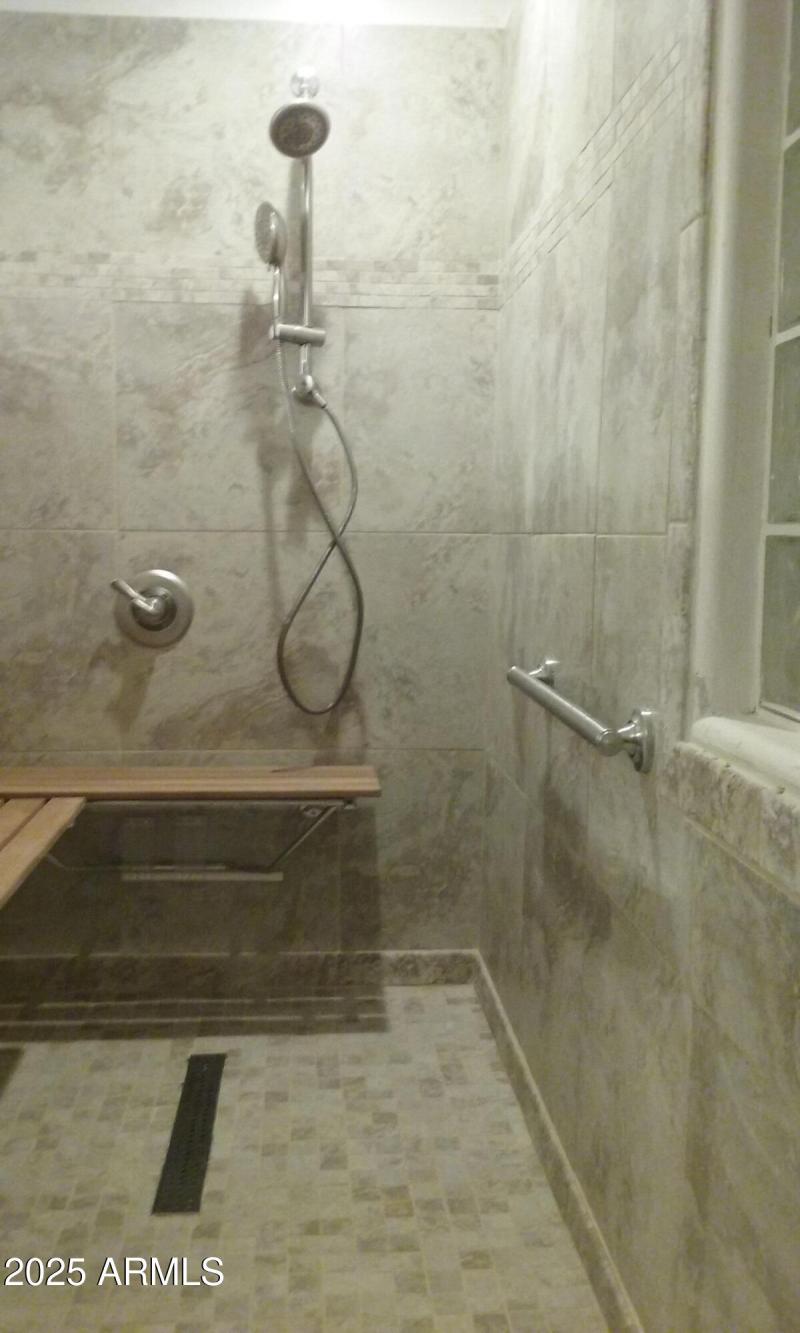 Berguetski - Master Bath Shower 1