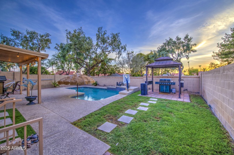 Backyard