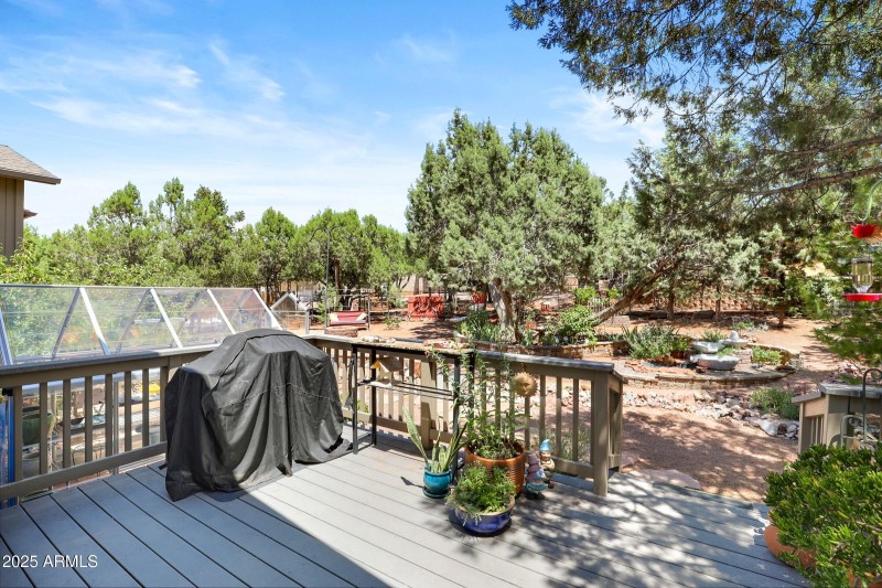 Back Patio