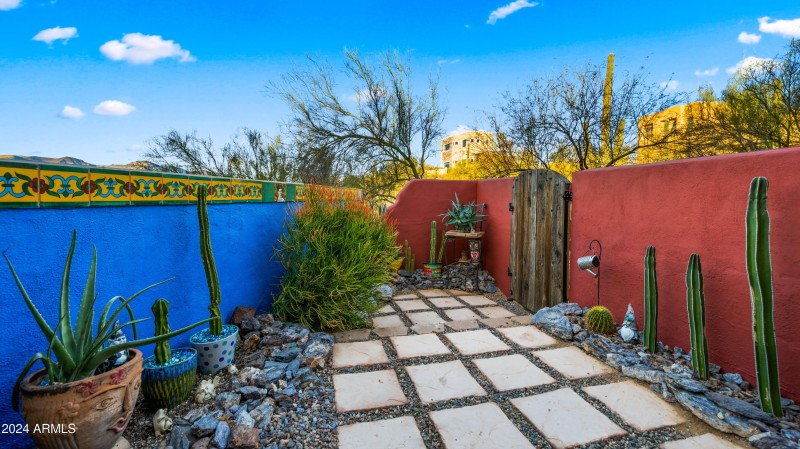 Backyard2