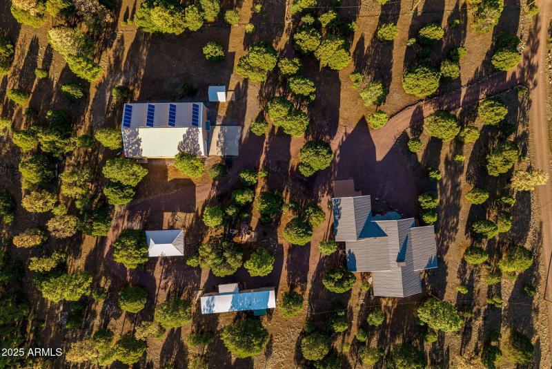 3N2163-Nutrioso-AZ-51