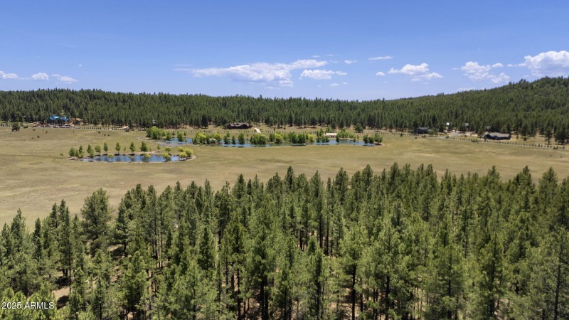 7-web-or-mls-DJI_20250709125754_0326_D