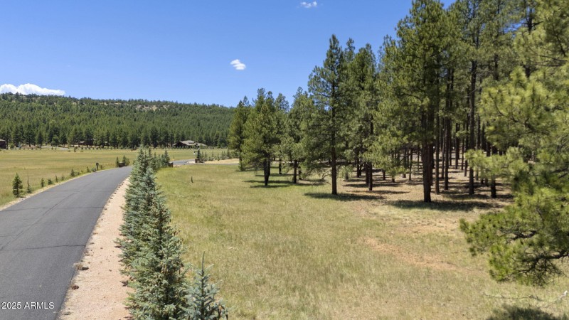 8-web-or-mls-DJI_20250709125859_0331_D