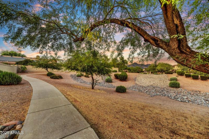 Desert Wash - Green Belt area