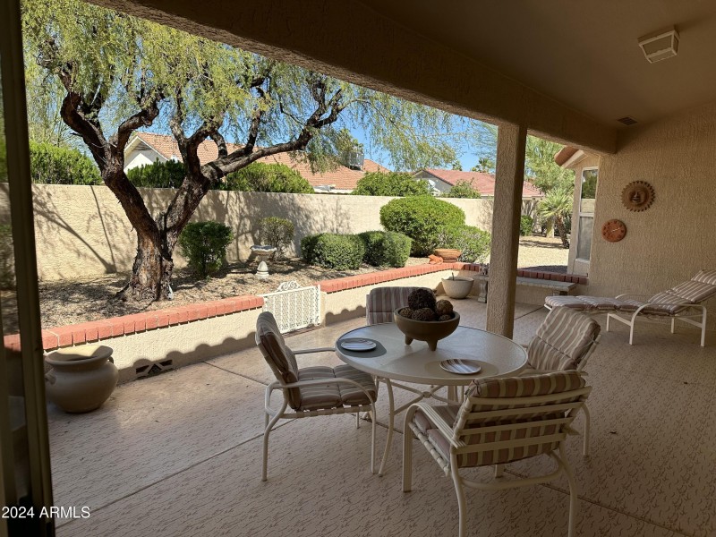 Back Patio