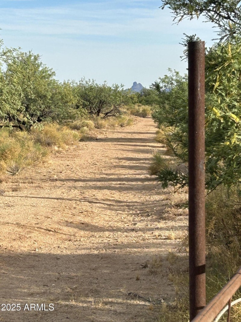 View of State Land along property line