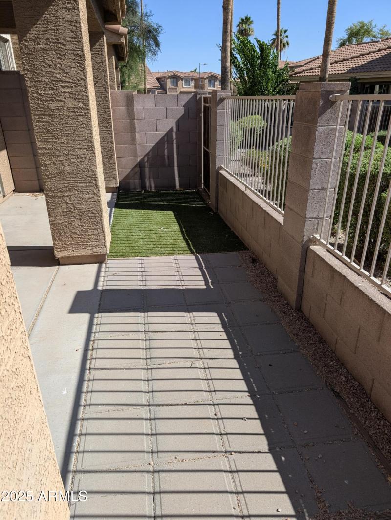 Backyard