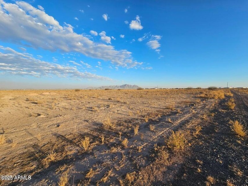 20250302060245316171000000-o