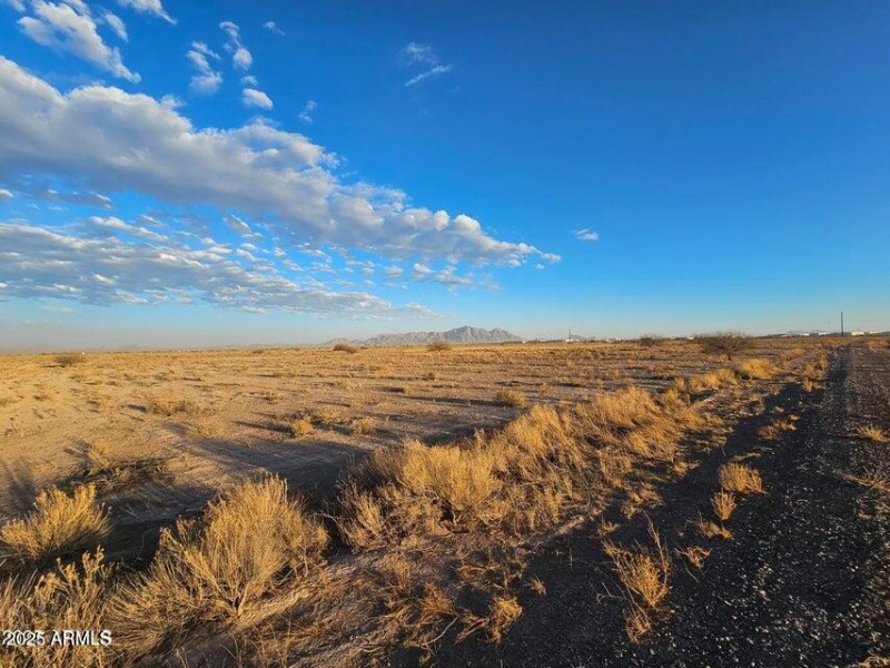 20250302060254552179000000-o