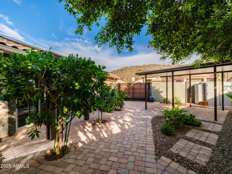 Steel Ramada, :avers, Fruit Trees