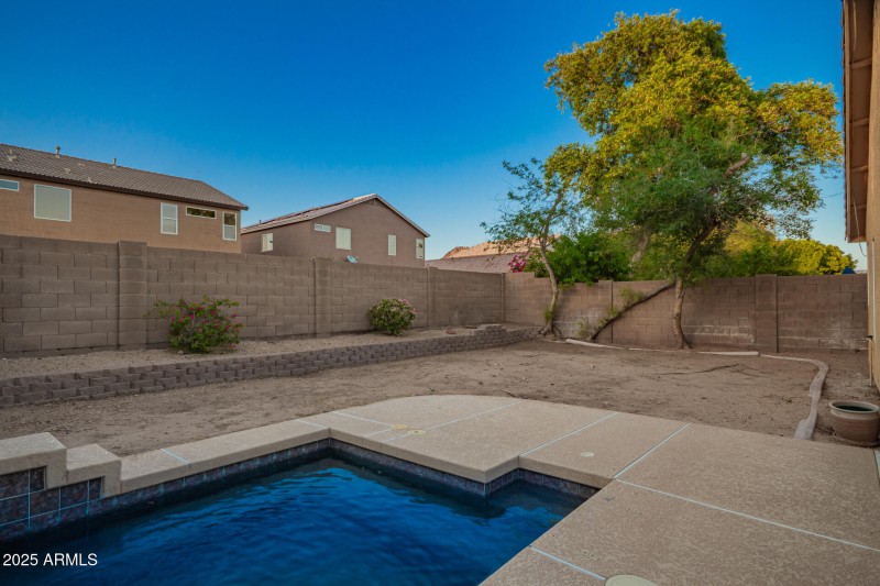Backyard2