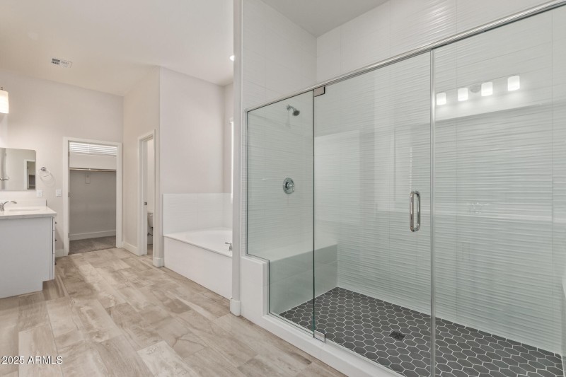 Owner's Vanity #1 & Soaking tub