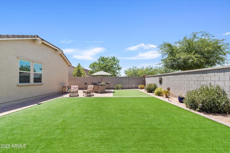 Backyard