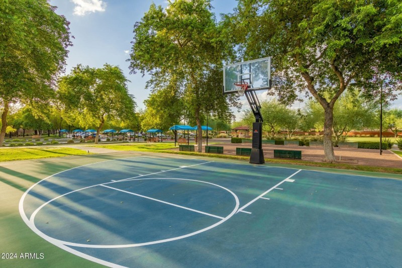 SC Festival BB Court