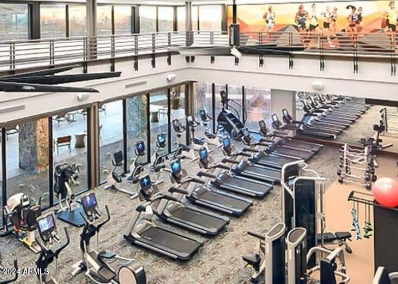 SC Festival Fitness