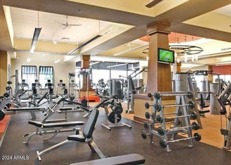 SC Festival Gym