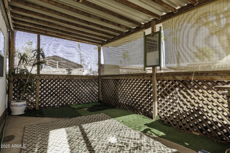 Back Patio
