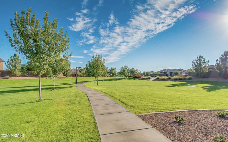 Beautiful Walking Paths
