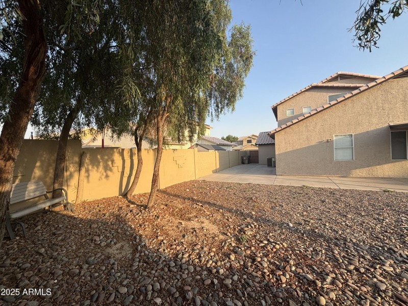 BACKYARD2