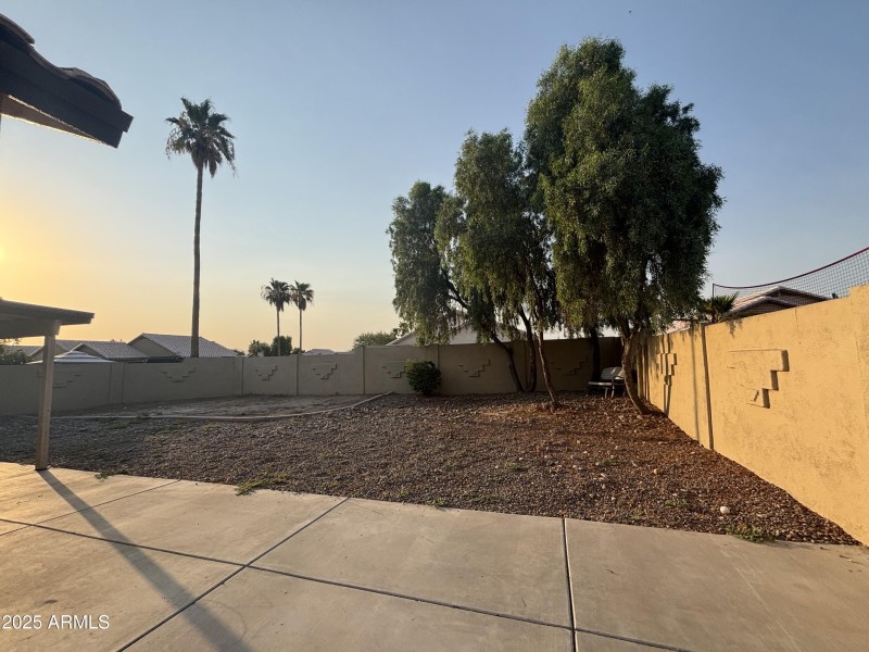 BACKYARD5