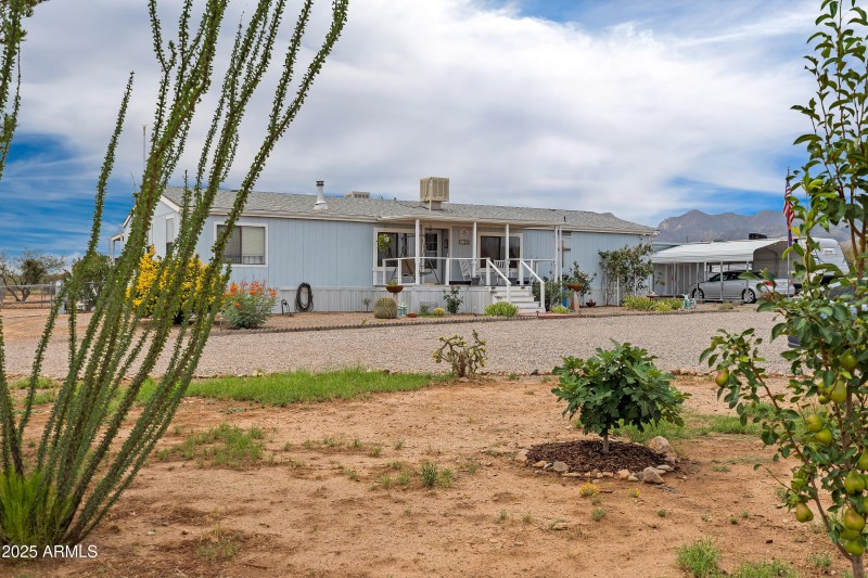 1 Front Yard-3